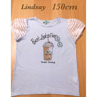 リンジィ(Lindsay)のリンジィ 異素材Tシャツ(Tシャツ/カットソー)