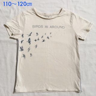 ザラキッズ(ZARA KIDS)のUSED ZARA ユニセックス 半袖Tシャツ 116㎝サイズ(その他)