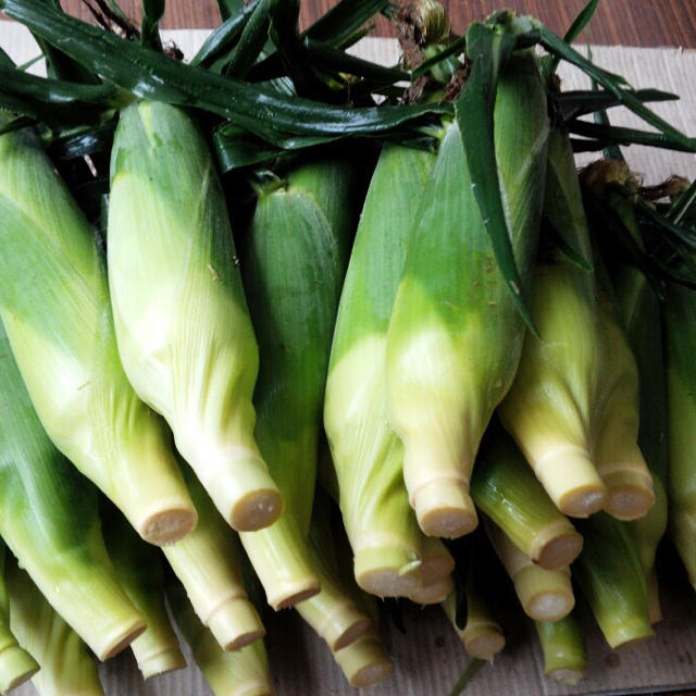 朝採り野菜  とうもろこし 食品/飲料/酒の食品(野菜)の商品写真