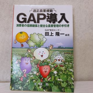 GAP導入 田上隆一(ビジネス/経済)