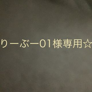 ダイアナ(DIANA)のりーぶー01様専用☆ ブライダルインナー ビスチェ ダイアナ C70(ブライダルインナー)