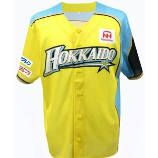 ホッカイドウニホンハムファイターズ(北海道日本ハムファイターズ)のWE LOVE HOKKAIDO 2017 限定ユニフォーム(応援グッズ)