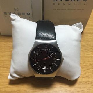 スカーゲン(SKAGEN)のSKAGEN(腕時計)