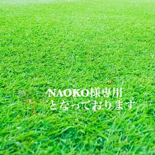 NAOKO様専用となっております(バスケット/かご)