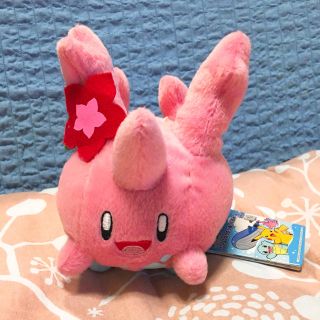 ポケモン(ポケモン)のポケモン ぬいぐるみ サニーゴ(ぬいぐるみ)