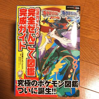 ニンテンドウ(任天堂)のポケモン図鑑 オメガルビー アルファサファイア(その他)