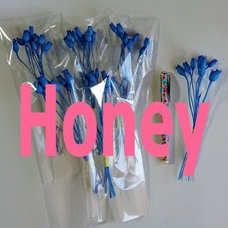 Honey様専用ページ(ドライフラワー)