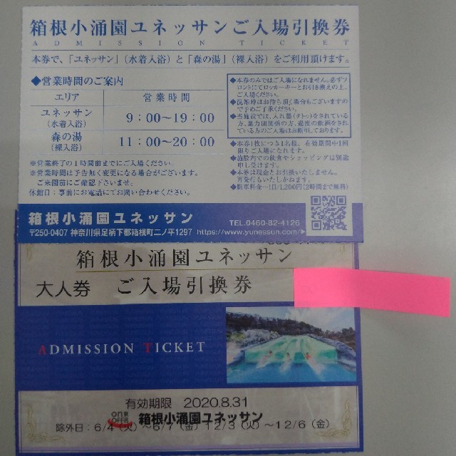 箱根小涌園ユネッサン大人入場券2枚セット 即購入OK