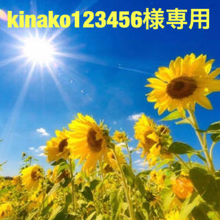 kinako123456様 専用ページ(その他)