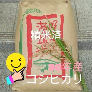SKY様専用です😊コシヒカリ精米24kg(米/穀物)