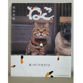 ねこ(岩合光昭)(その他)