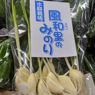 友芽にんにく【osaka様専用】(野菜)