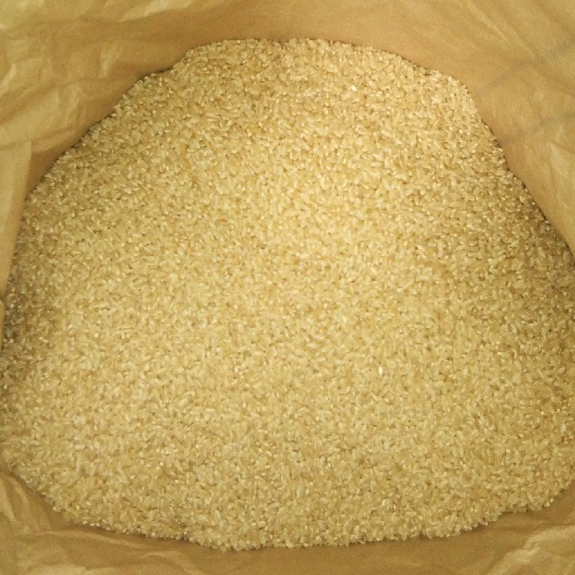 ★平成30年度産あきたこまち玄米30kg★