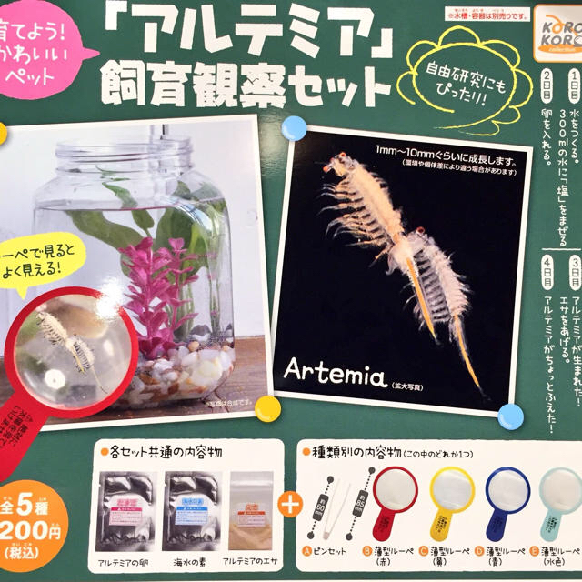 アルテミア飼育観察セット ガチャ シーモンキー の通販 By Zumi S Shop ラクマ アルテミア飼育観察セット ガチャ シーモンキー の通販 By Zumi S Shop ラクマ