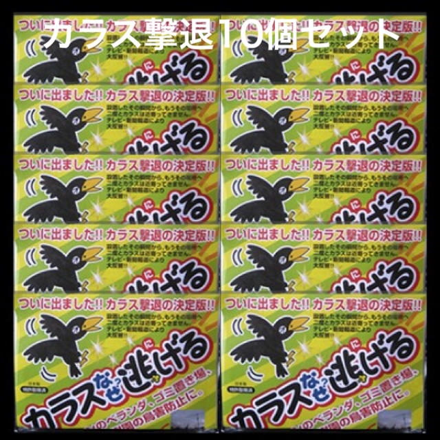 カラス撃退！カラスなぜ逃げる? ニューどこでも10個セット