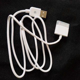 アップル(Apple)のiPod nano 充電器(ポータブルプレーヤー)