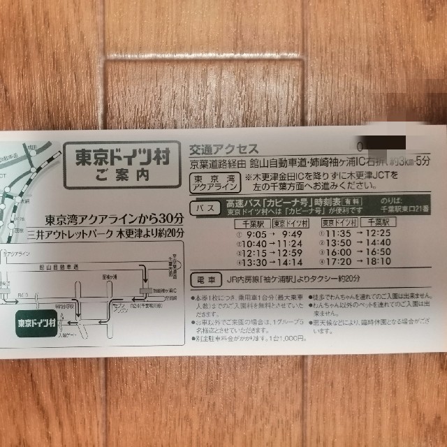 東京ドイツ村 入園招待券 有効期限9/30 チケットの施設利用券(遊園地/テーマパーク)の商品写真