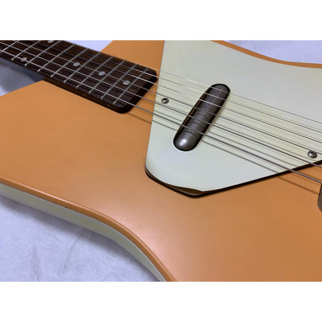 Danelectro Dano Pro 値下げ！