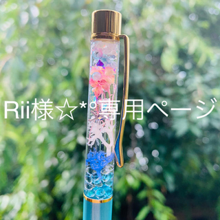 Rii様☆*°専用ページです★ハーバリウムボールペン✩.*˚(その他)