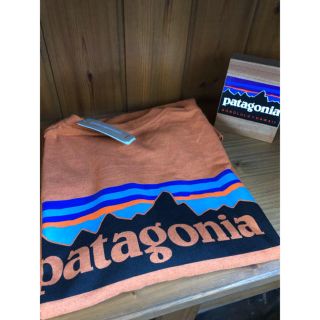 パタゴニア(patagonia)のハワイ ホノルル店購入 patagonia パタゴニア 定番人気バックロゴT S(Tシャツ/カットソー(半袖/袖なし))