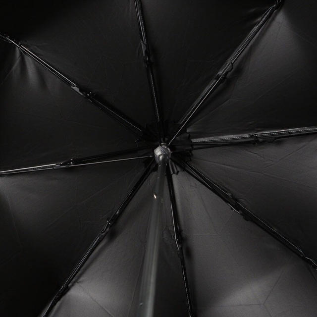 PAUL & JOE(ポールアンドジョー)の晴雨兼用日傘 レディースのファッション小物(傘)の商品写真