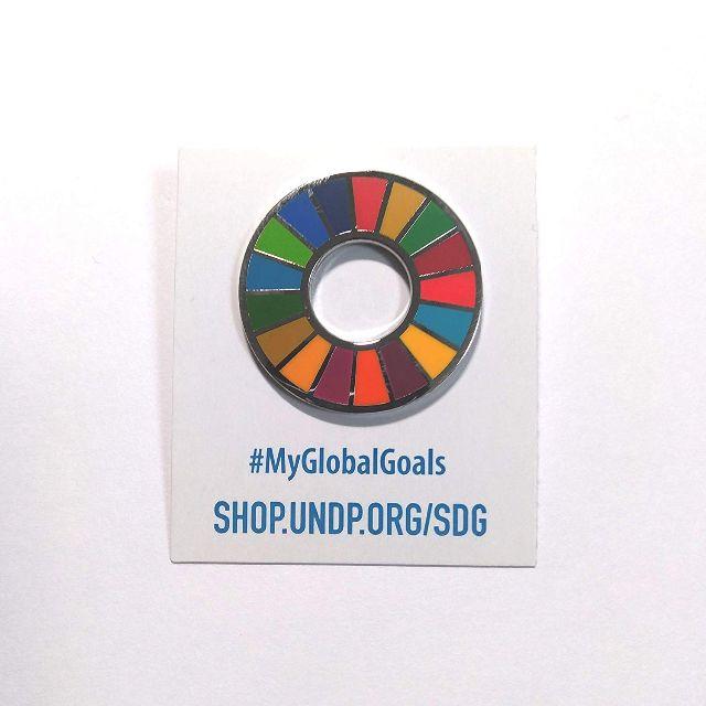 10個 SDGs ピンバッジ 最新仕様 国連本部限定販売 日本未発売 その他のその他(その他)の商品写真