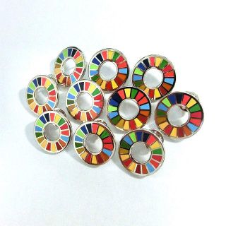 10個 SDGs ピンバッジ 最新仕様 国連本部限定販売 日本未発売(その他)