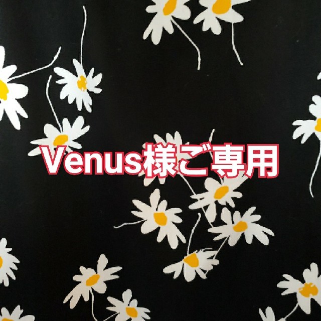 René(ルネ)のVenus様ご専用Rene ワンピース　36 レディースのワンピース(ひざ丈ワンピース)の商品写真