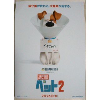 試写会 5/17『ペット２』一ツ橋ホール 2名 2Ⅾ字幕版(洋画)