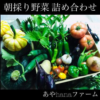 ② 朝どり！ 野菜詰め合わせ ☆農家直送☆収穫当日に発送します☆ 野菜(野菜)