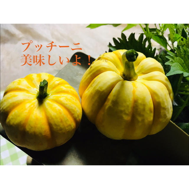 ③ 朝どり！ 野菜詰め合わせ ☆農家直送☆収穫当日に発送します☆ 野菜 食品/飲料/酒の食品(野菜)の商品写真