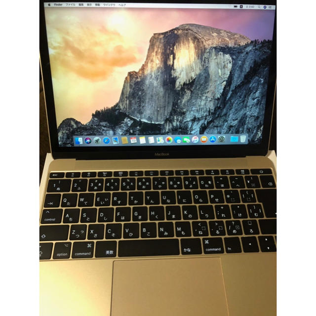 完売 Mac (Apple) - 【充電回数約45回】MacBook 256GB (Mid 2017) ノートPC