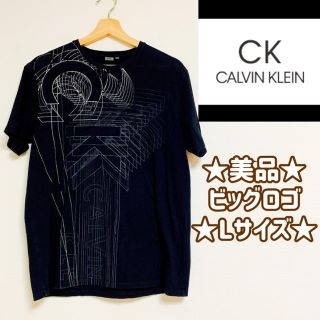 カルバンクライン(Calvin Klein)の★美品★カルバン・クライン★ビッグロゴTシャツ★Lサイズ★(Tシャツ/カットソー(半袖/袖なし))