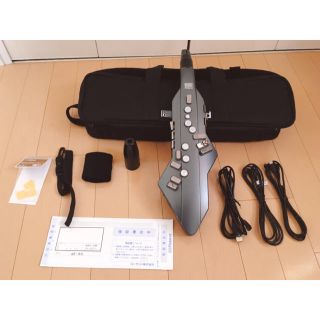 ローランド(Roland)のAerophone AE-05 本体極美品(その他)