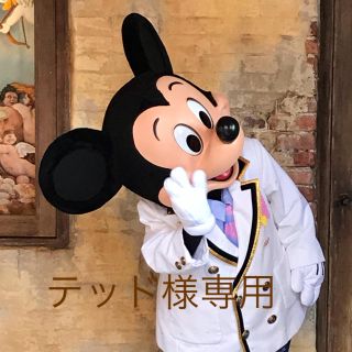 ディズニー(Disney)のテッド様専用 パークフードチャーム2種(キャラクターグッズ)