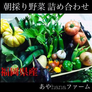 ④ 朝どり！ 野菜詰め合わせ ☆農家直送☆収穫当日に発送します☆ 野菜(野菜)