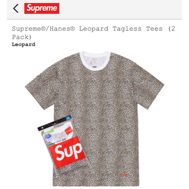 Supreme(シュプリーム)のSupreme x Hanes Tシャツ シュプリームxヘインズ コラボT 2枚 メンズのトップス(Tシャツ/カットソー(半袖/袖なし))の商品写真