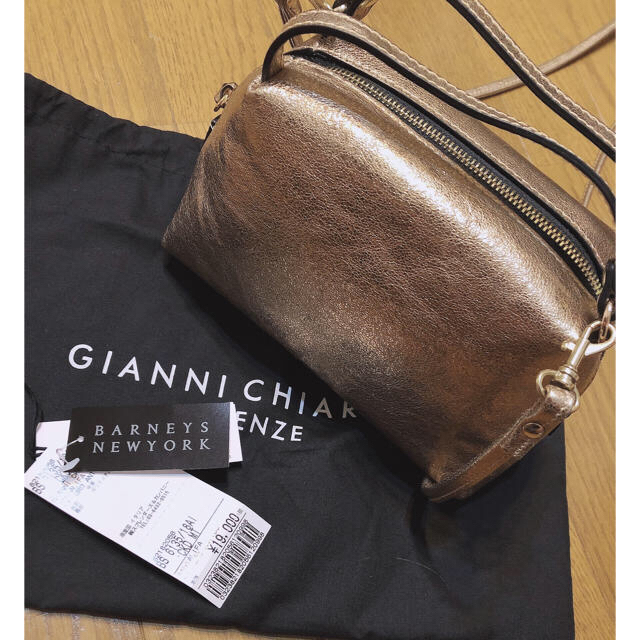 GIANNI CHIARINI ジャンニキアリーニ  メタリックバッグ  今期