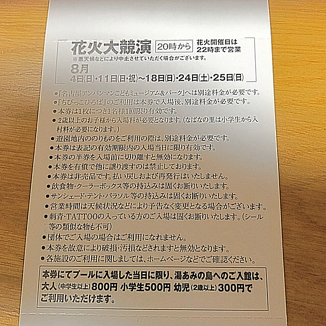 長島スパーランド ジャンボ海水プール入場券 ナガシマ チケットの施設利用券(遊園地/テーマパーク)の商品写真