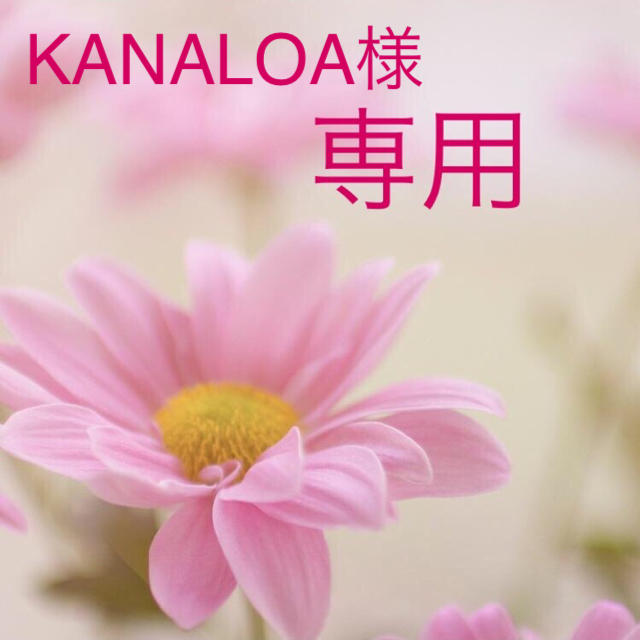 KANALOA様専用❤️ピンク、オレンジ、ブルー 20枚、グリーン10枚 リピ割 ハンドメイドの文具/ステーショナリー(宛名シール)の商品写真