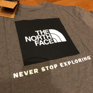 ザノースフェイス(THE NORTH FACE)の海外限定 グレー M(Tシャツ/カットソー(半袖/袖なし))