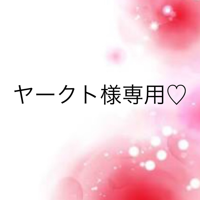 ヤークト様専用♡ 新年の贈り物 www.fenix-seguridad.com
