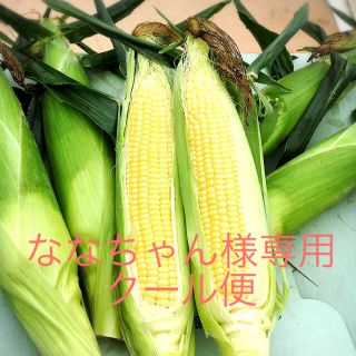 あまーい朝どりトウモロコシ  特別価格(野菜)