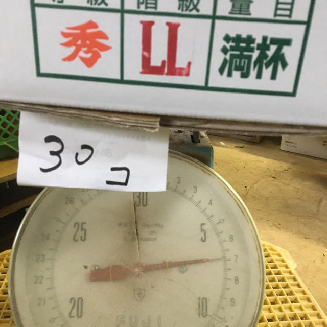 訳あり バレンシアオレンジ LL 30個 送料無料 有田みかん 和歌山県産 食品/飲料/酒の食品(フルーツ)の商品写真