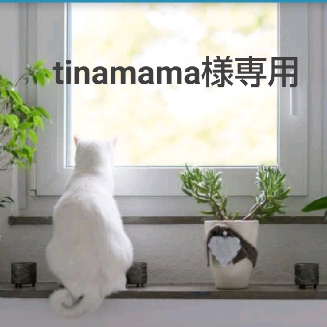 正規 tinamama様専用 フェイスクリーム