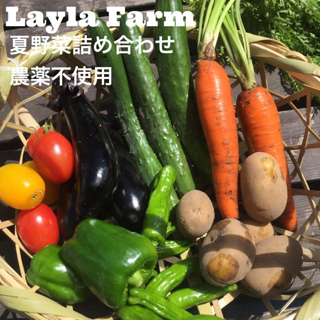 ゆら様専用夏野菜の詰め合わせ80サイズ ZQDJElNiD5 - kuyopipeline.com