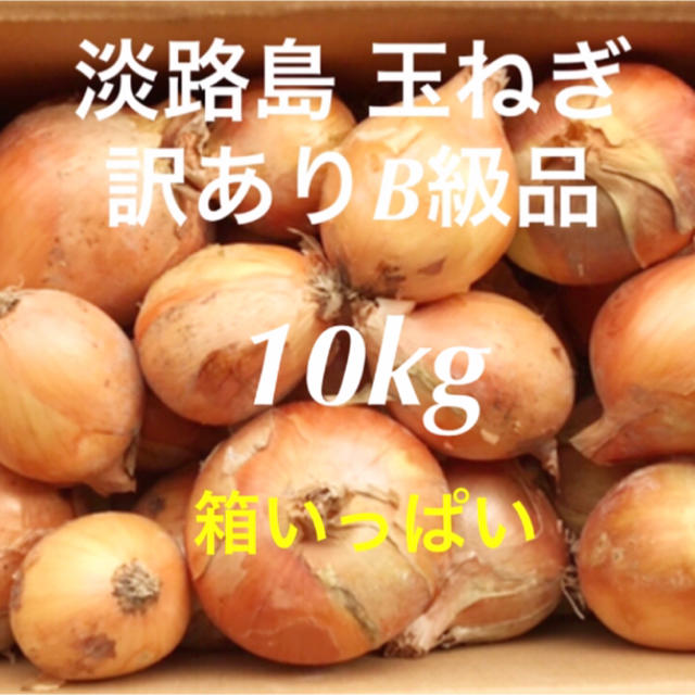 ［訳あり10kg］淡路島 玉ねぎ もみじ 箱ギッシリ 食品/飲料/酒の食品(野菜)の商品写真