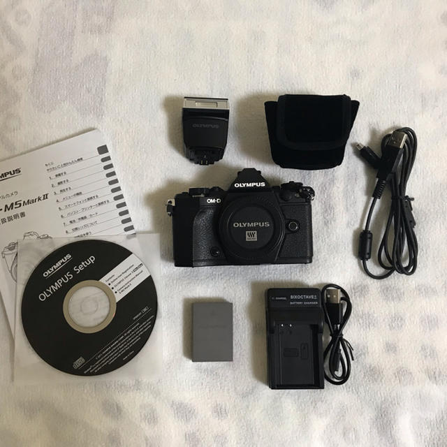 OM-D E-M5 Mark Ⅱ 本体 オリンパス | orinocoorigen.com