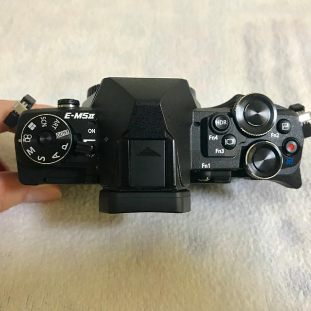 OM-D E-M5 Mark Ⅱ 本体 オリンパス | orinocoorigen.com