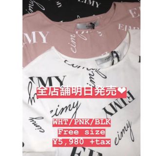 エイミーイストワール(eimy istoire)のM♡R様専用eimy先行Tシャツ(Tシャツ(半袖/袖なし))